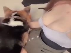 video_2022-11-27_04-39-19