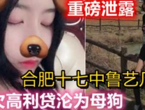 重磅，安徽合肥十七中鲁艺凡，欠下高利贷沦为母狗