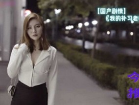 国产剧情-我的补习老师