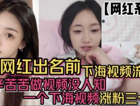 网红出名前下海视频流出